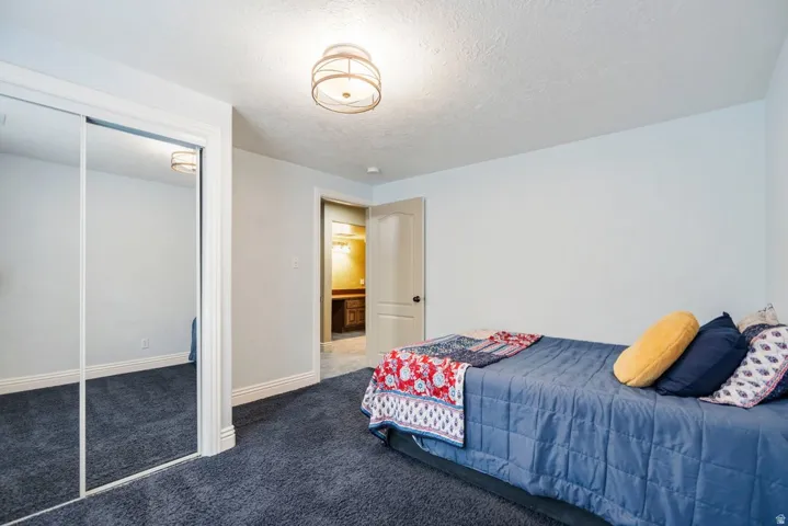 Plush carpeting, mirrored closet doors, and overhead lighting fixture