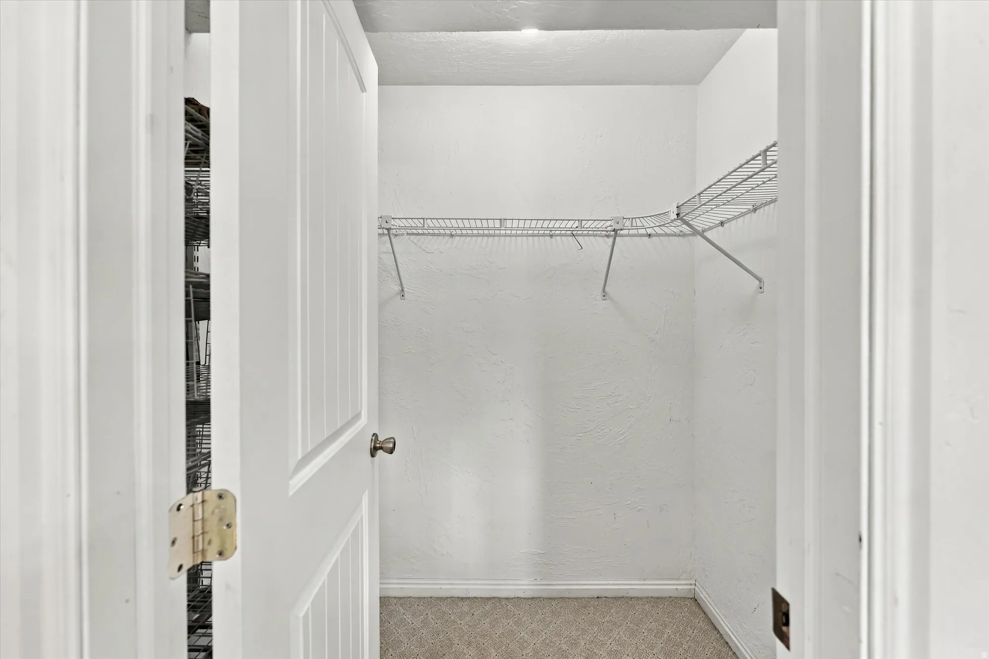 Walk-in closet featuring wire shelving and carpet flooring
