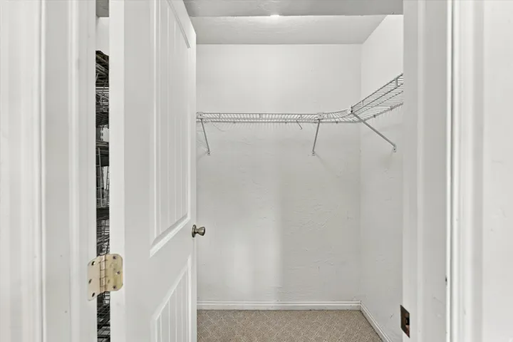 Walk-in closet featuring wire shelving and carpet flooring