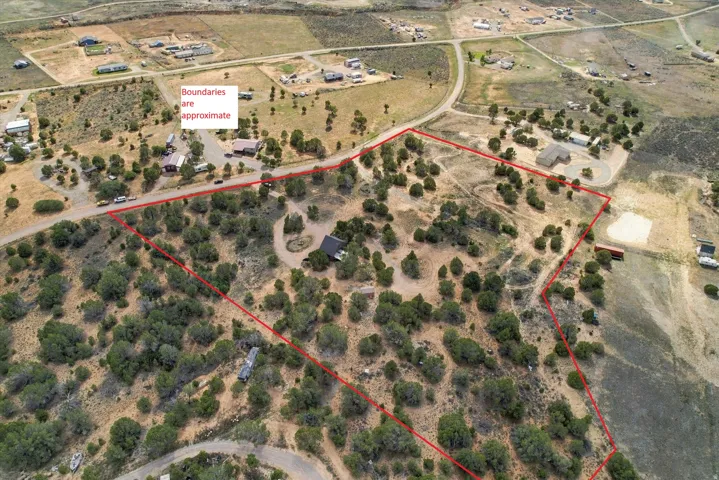 Expansive lot with mature trees and visible access roads