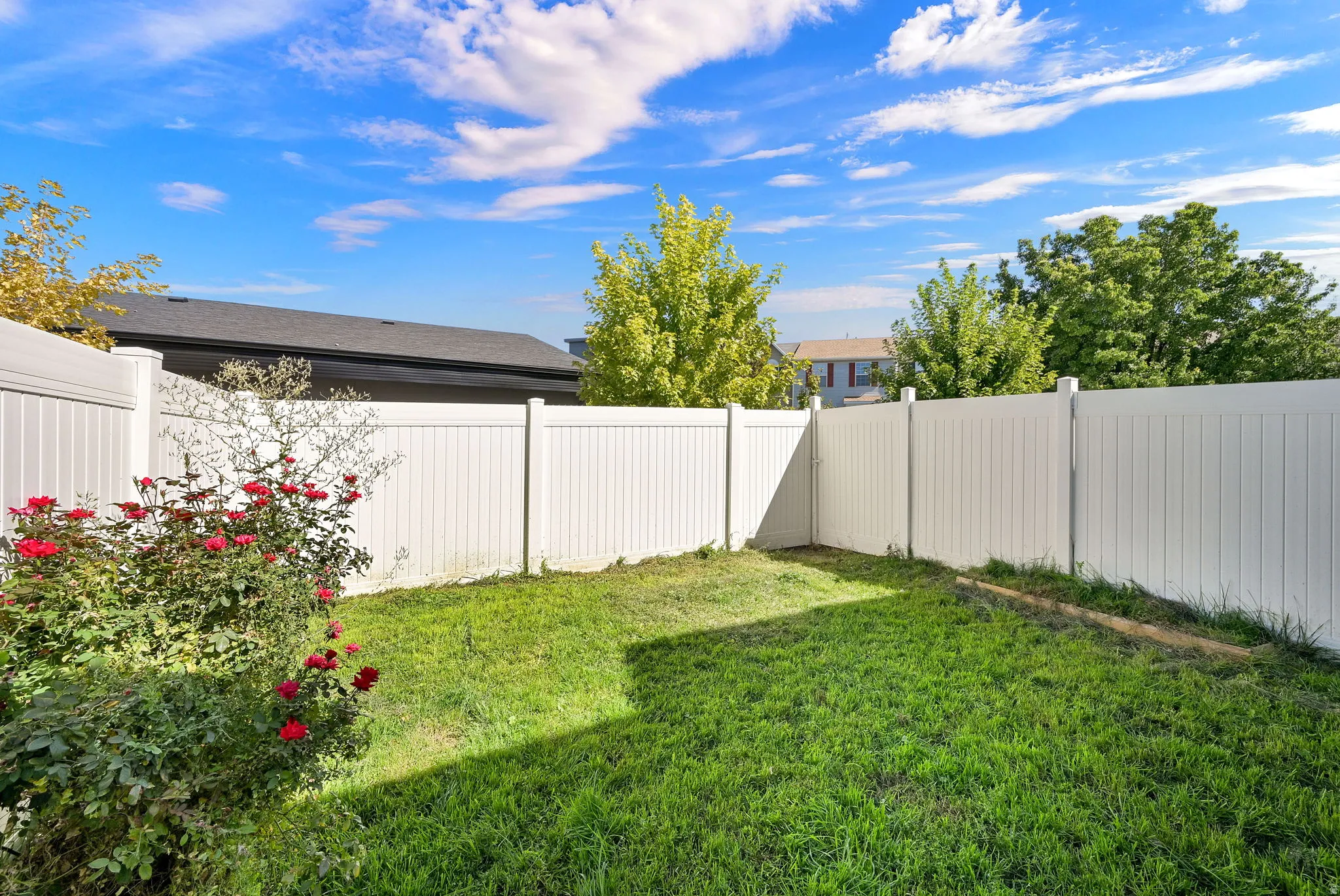 Private backyard space featuring a vinyl fence, green lawn, and established rose bushes