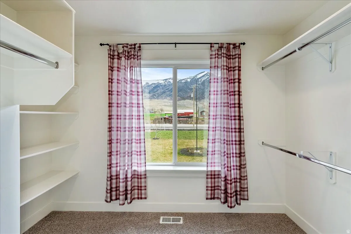 Built-in shelving and hanging rods in a neutral-toned space with carpet flooring