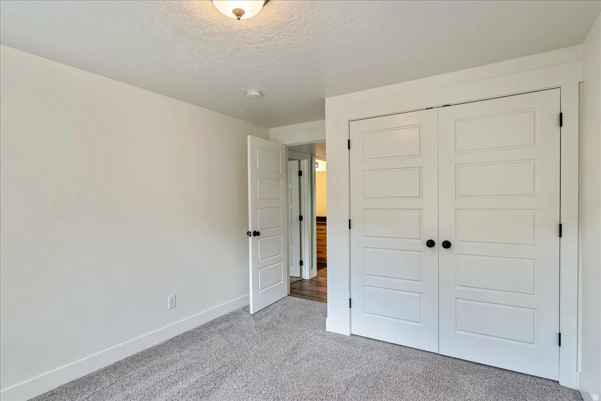 Plush carpet flooring, neutral painted walls, white panel doors with matte black hardware, and a semi-flush mount ceiling light