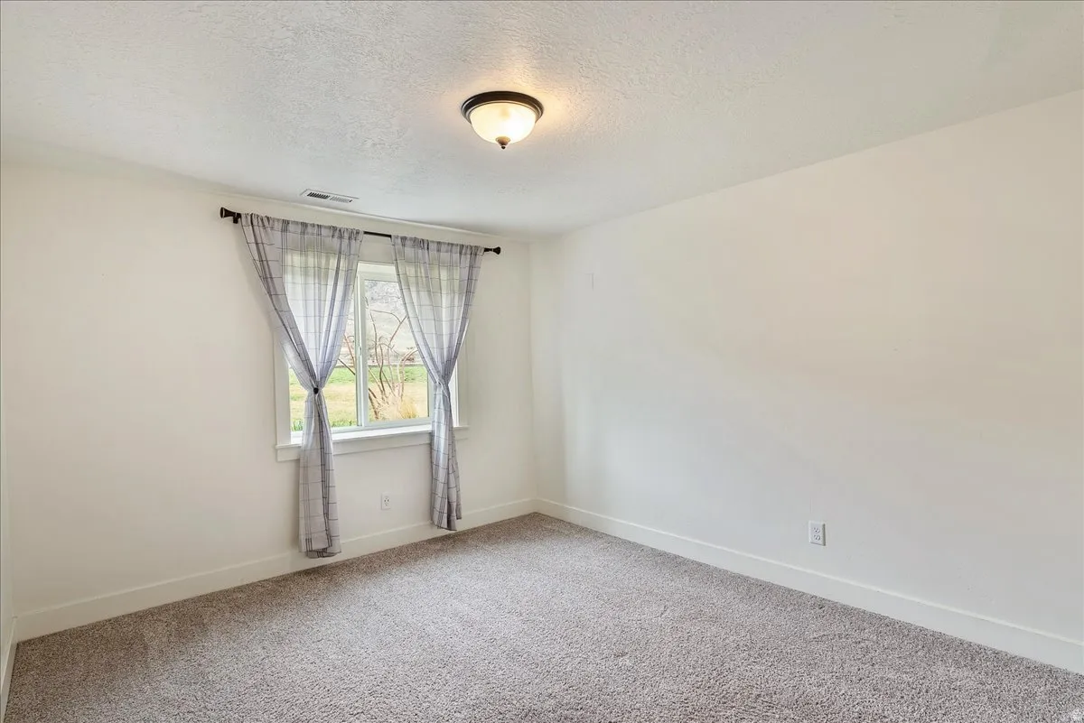 Plush carpet flooring, neutral painted walls, and a ceiling-mounted light fixture