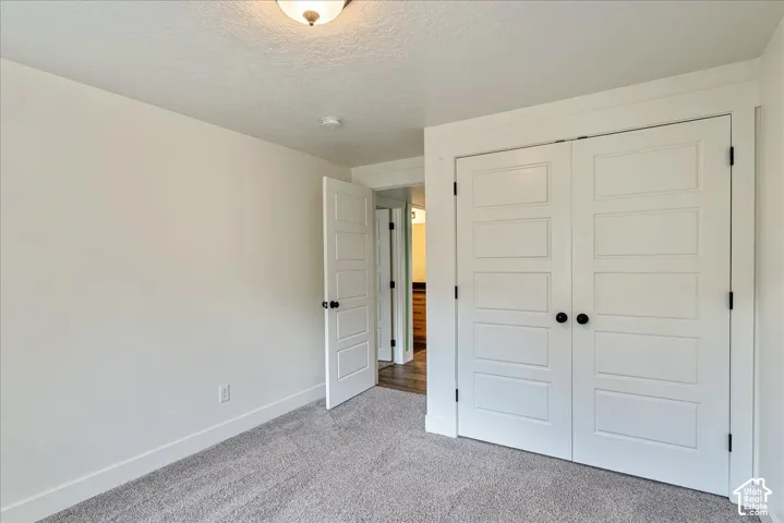 Plush carpet flooring, neutral painted walls, white panel doors with matte black hardware, and a semi-flush mount ceiling light