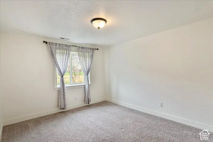 Plush carpet flooring, neutral painted walls, and a ceiling-mounted light fixture