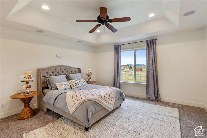 Tray ceiling with recessed lighting and a ceiling fan