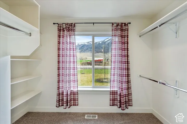 Built-in shelving and hanging rods in a neutral-toned space with carpet flooring
