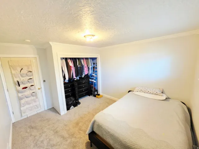 Carpeted room featuring a built-in closet with shelving and hanging storage