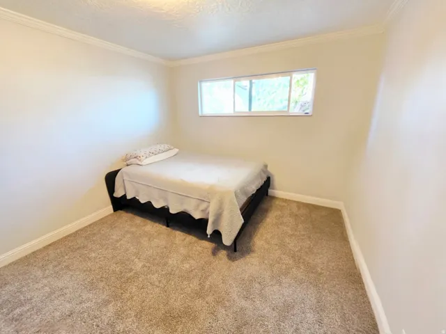 Carpeted flooring, white crown molding, white baseboards, and a window for natural light