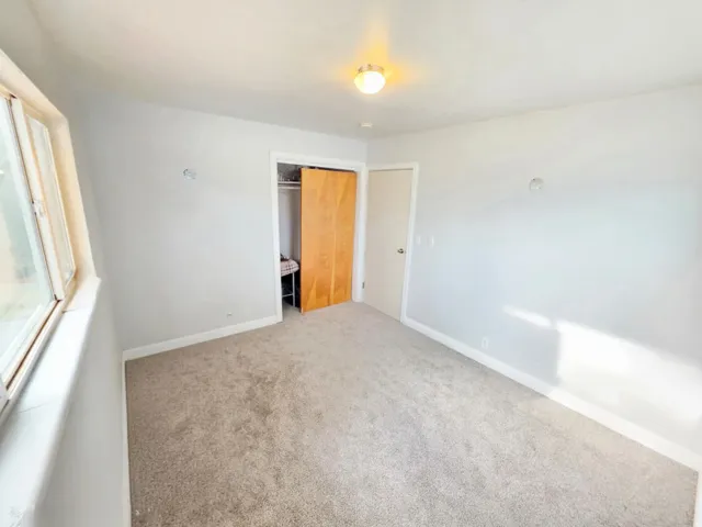 Wall-to-wall carpeting, light gray wall paint, and a ceiling-mounted light fixture