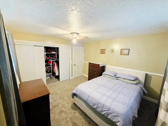 Recessed lighting, ceiling fan, neutral carpet, bi-fold closet doors, and a paneled door