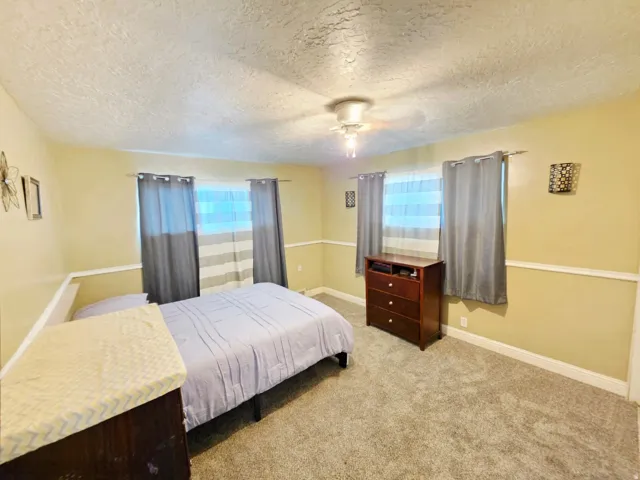 Carpeted flooring, painted walls with chair rail, and multiple windows