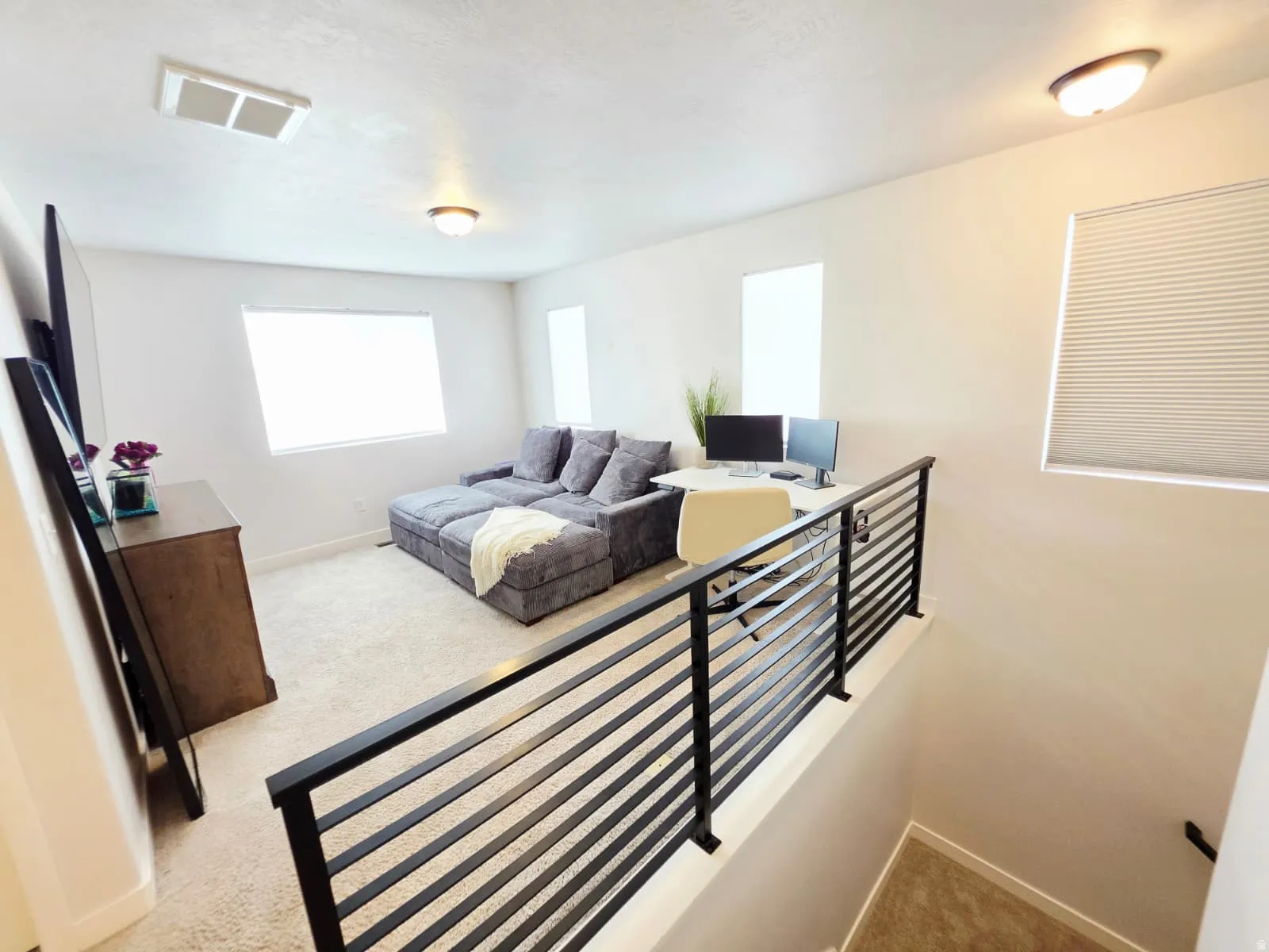Carpeted loft space featuring multiple windows, flush-mount lighting, and a contemporary horizontal bar railing