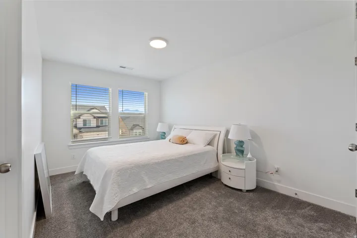 Neutral white wall finishes, two windows with blinds, gray carpeting, and a flush-mounted ceiling light fixture