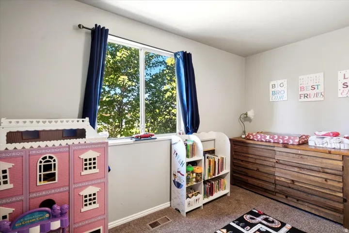 Bright window with exterior greenery, neutral wall color, and carpeted flooring