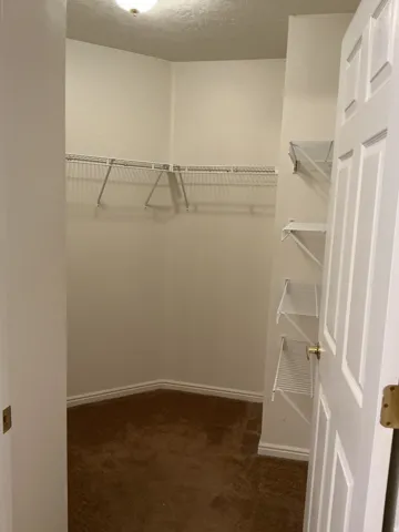 Walk-in closet with carpet flooring, overhead lighting, and white wire shelving