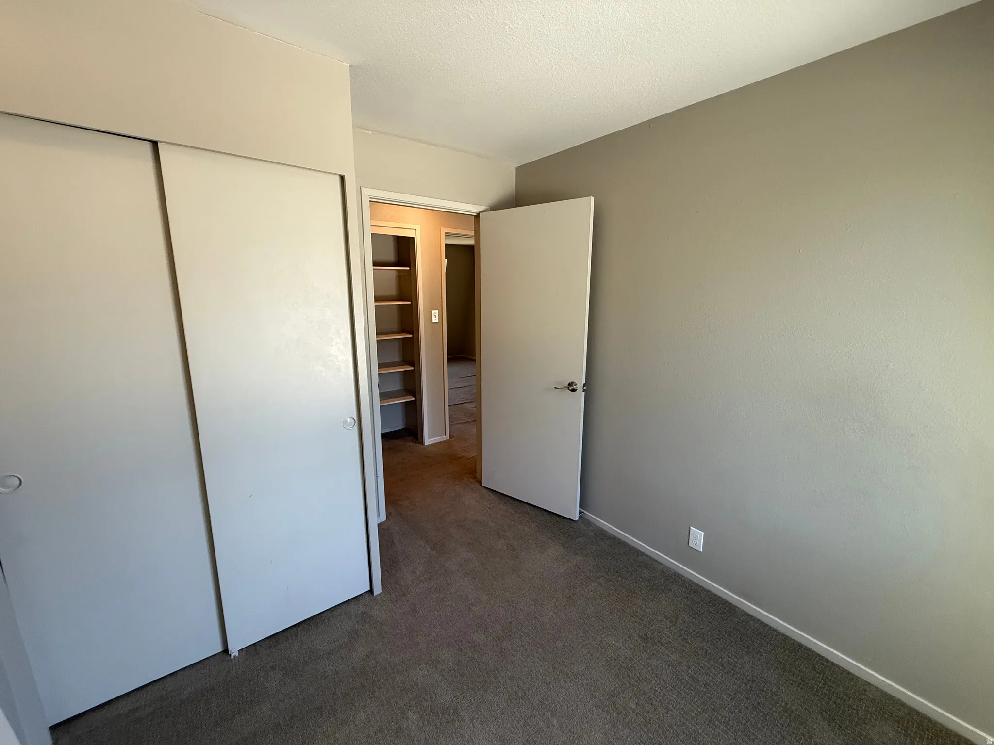 Textured carpet flooring, neutral paint palette, sliding closet doors, built-in shelving