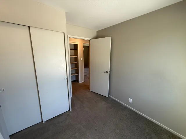 Textured carpet flooring, neutral paint palette, sliding closet doors, built-in shelving