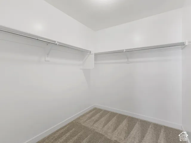Carpeted flooring with white painted walls and built-in closet shelving