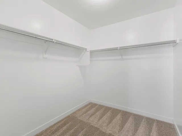 Carpeted flooring with white painted walls and built-in closet shelving
