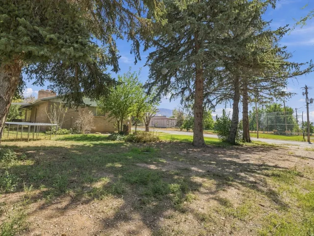 Expansive yard on the side of the home with additional parking