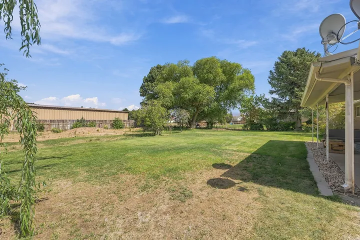 Expansive lawn with mature trees and a covered patio area