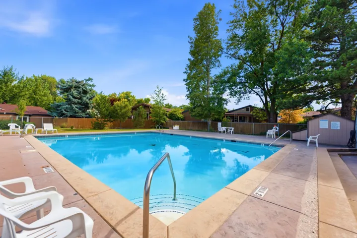 Outdoor swimming pool with concrete decking, surrounding mature trees, and a privacy fence