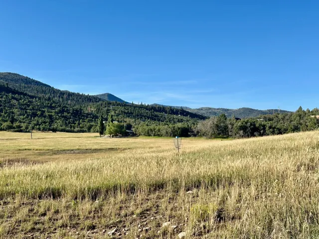 Community Disk Golf Field