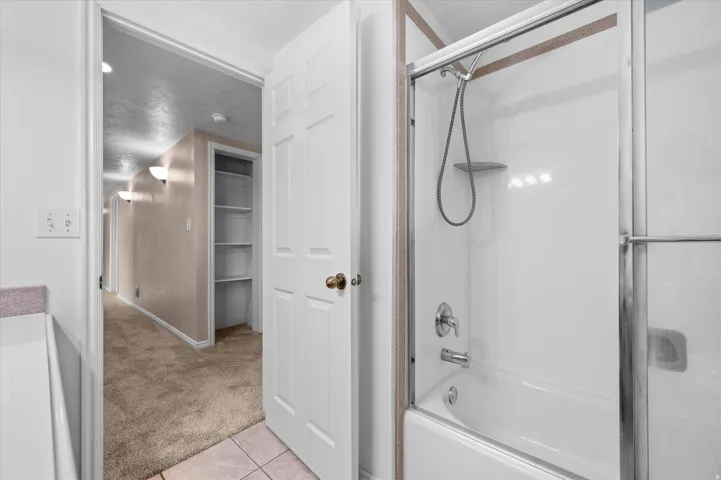 Basement Bathroom