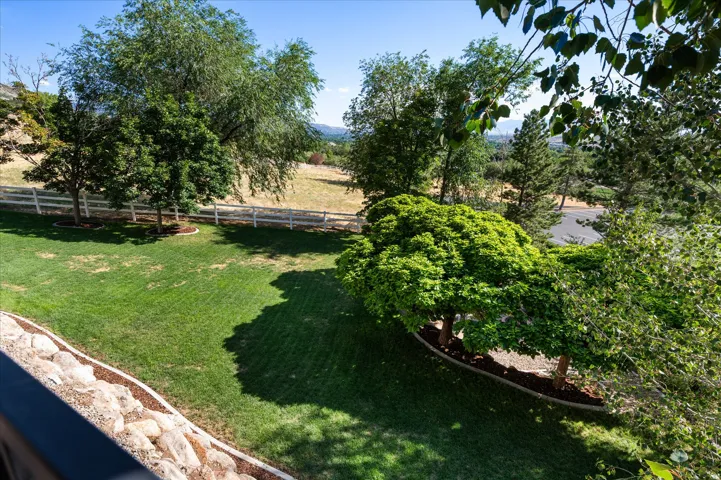 View of yard from lower deck.
