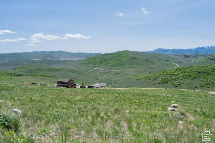 Expansive green hillsides and distant snow-capped mountains