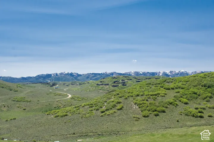 Expansive green hills with varied brush, winding unpaved road, and distant snow-capped mountains
