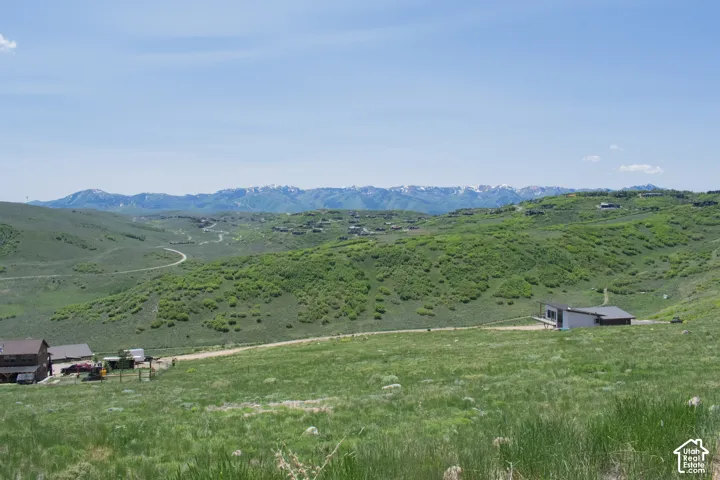 Expansive green hillsides and distant snow-capped mountains