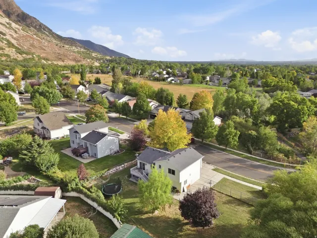 Residential neighborhood with mature trees, green spaces, and mountain backdrop