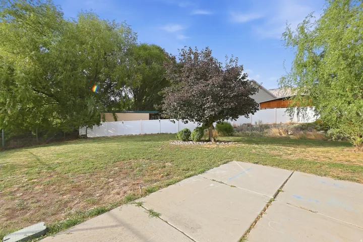 Expansive grassy yard with mature trees and concrete patio