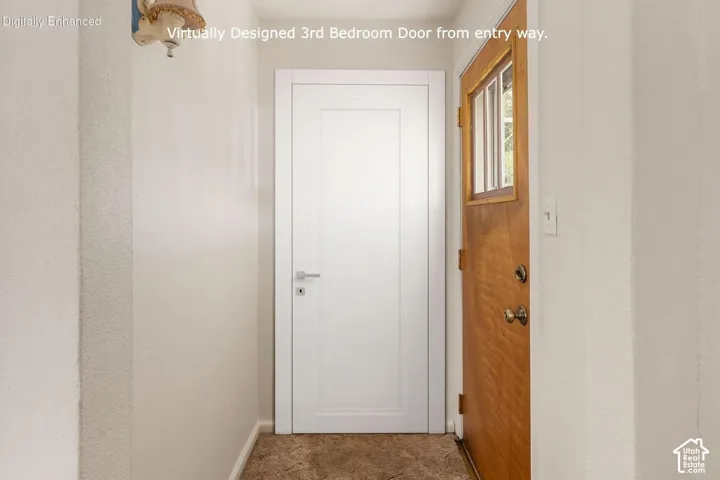 Entryway with wood-finish door featuring windowpanes and a modern white panel door