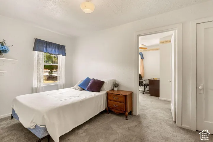 White painted walls, light gray carpet flooring, and a single window