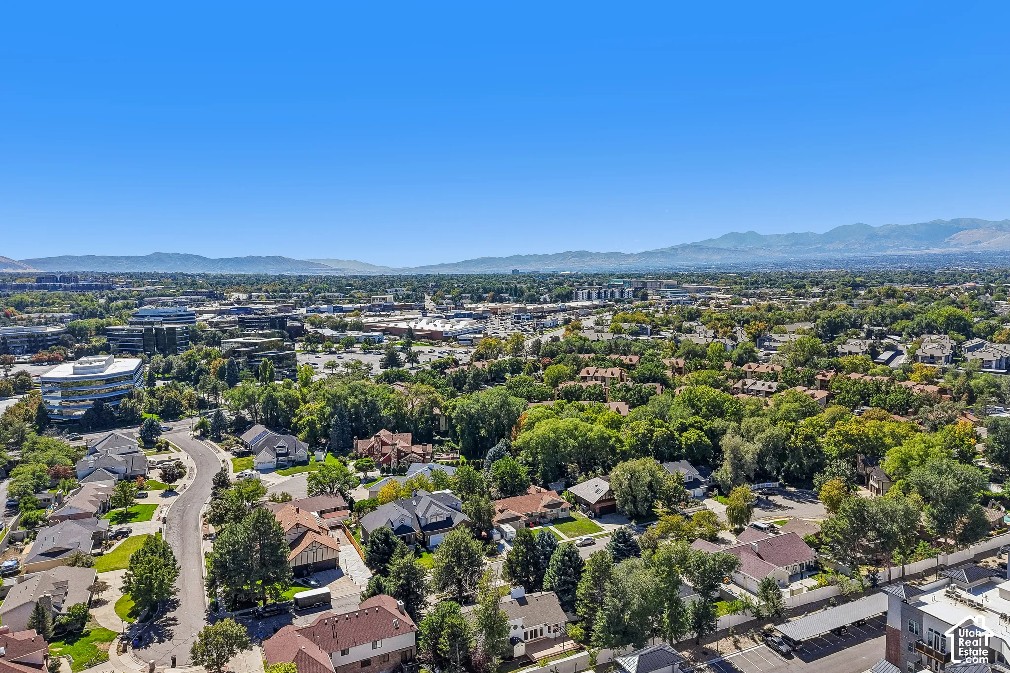 Expansive neighborhood with mature tree coverage and distant mountain backdrop