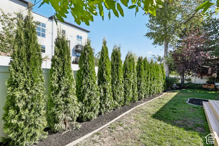 Landscaped backyard featuring a row of evergreen trees, a manicured lawn, and a light wood deck