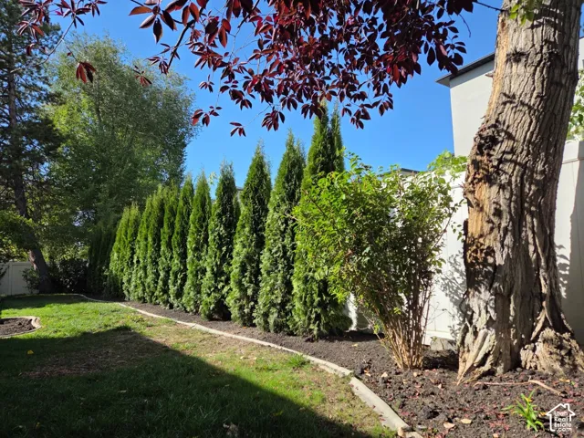 Backyard featuring a privacy fence, established perimeter landscaping, mature specimen trees, and concrete curbing