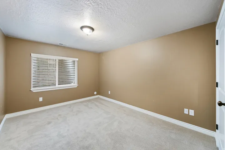 Plush carpeting, neutral wall color, white trim, recessed window with blinds, and ceiling-mounted light fixture