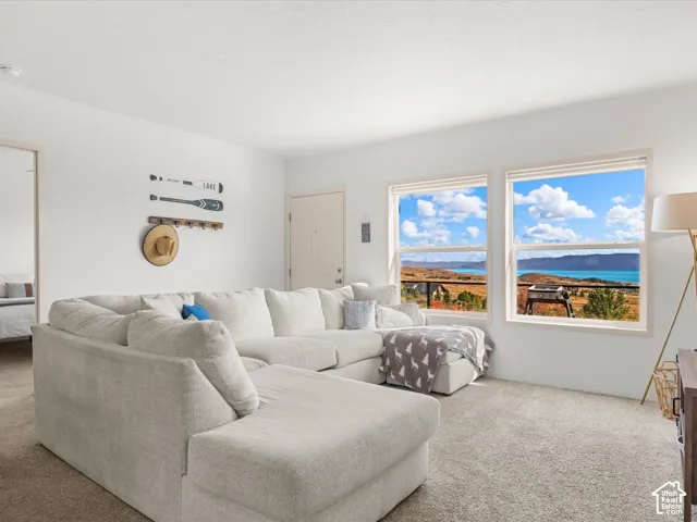 Carpeted living area with white walls, two large windows, and a light-colored entry door