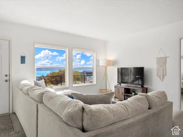 Bright interior with white walls, two large windows, and a durable carpeted floor
