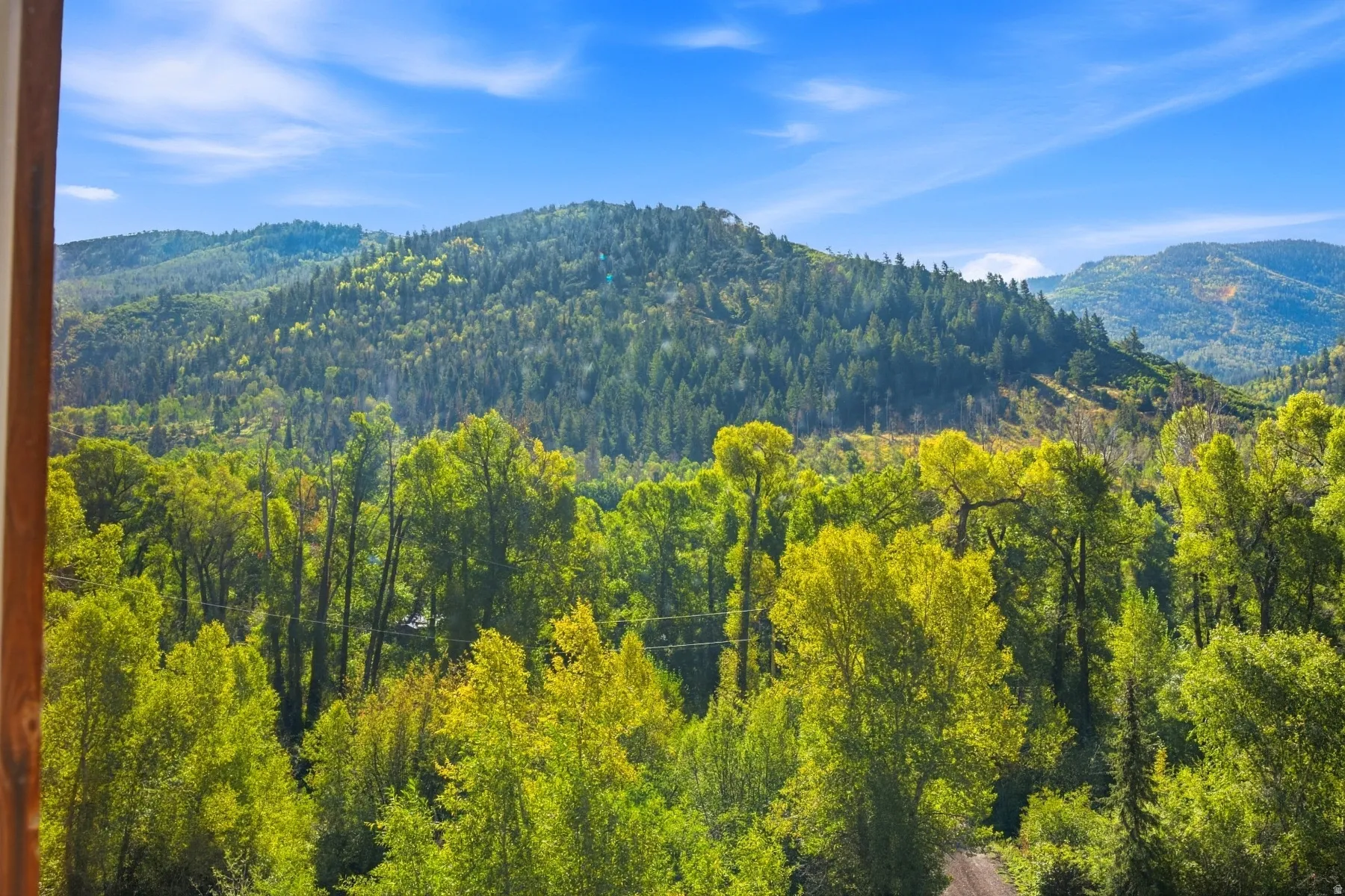 Expansive natural landscape with varied tree canopy and distant mountain ranges