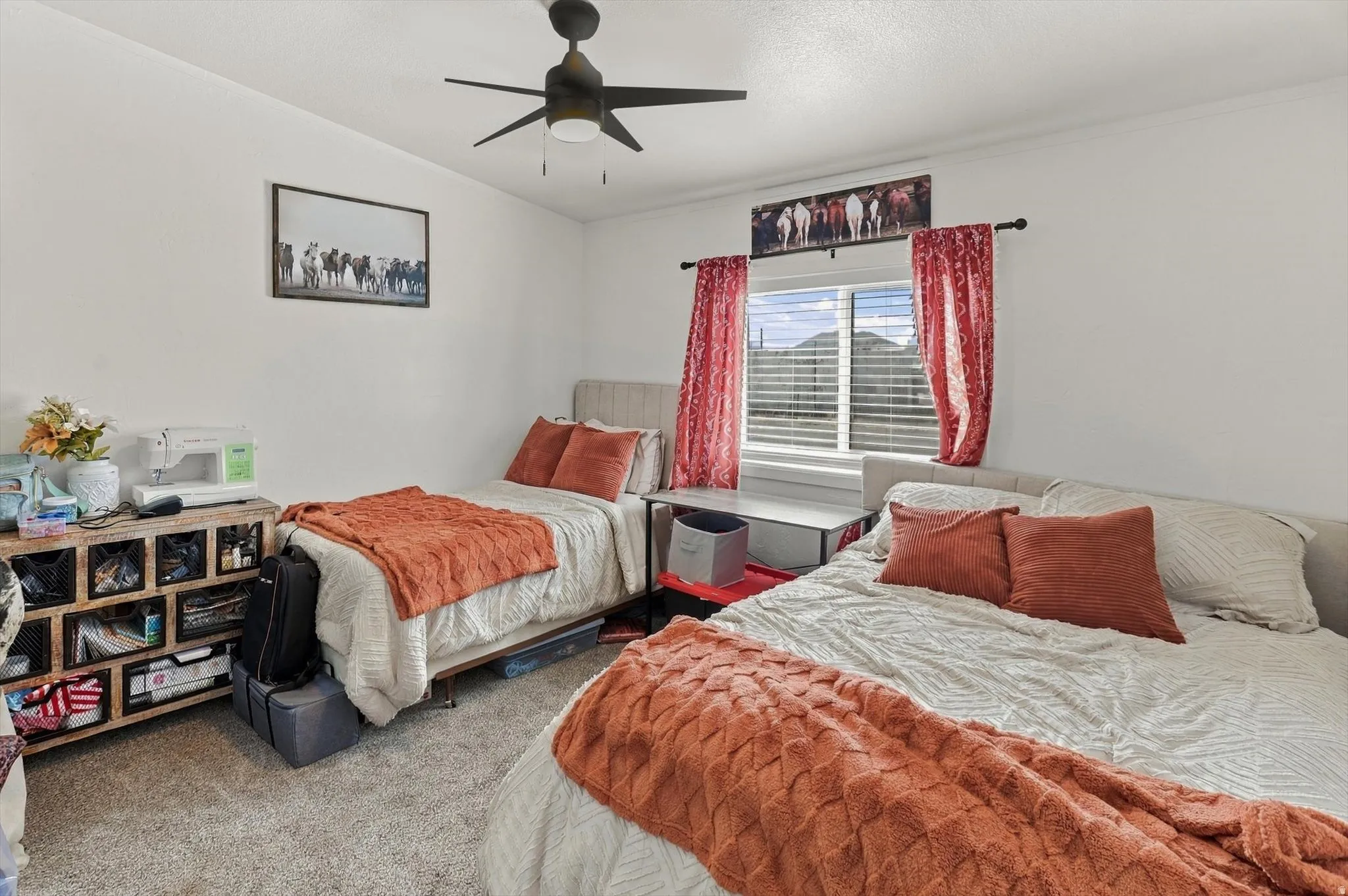 White painted walls with a ceiling fan, window with blinds, and carpeted flooring