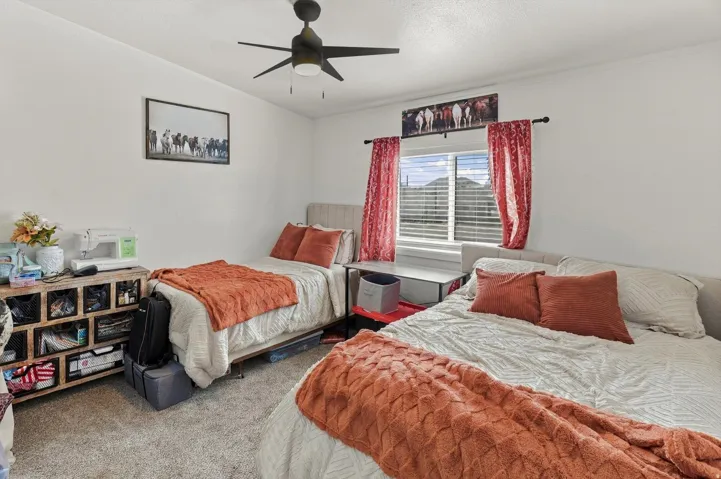 White painted walls with a ceiling fan, window with blinds, and carpeted flooring