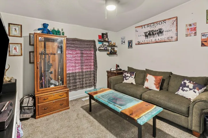 Textured wall-to-wall carpeting, ceiling fan with light fixture, and built-in wall shelving