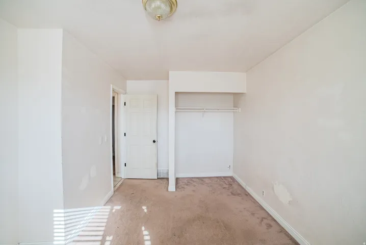 Neutral wall tones, ceiling-mounted light fixture, carpeting, and exposed closet rod