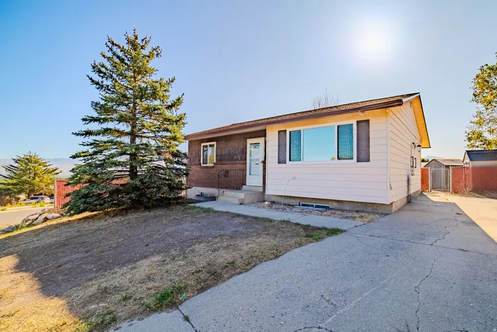 Concrete driveway with side access gate, mature evergreen tree, and a shed